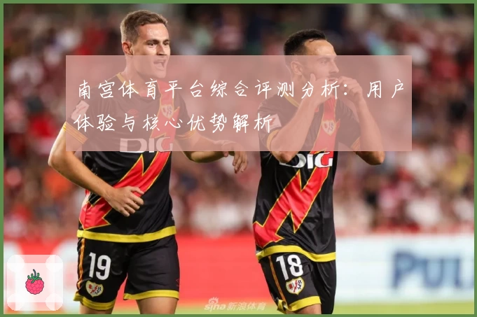 南宫体育平台综合评测分析：用户体验与核心优势解析
